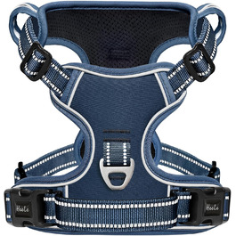 колір: уні-кінгсблю