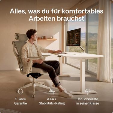 Регульований стіл Desktronic Homeone 160x80 см – електричний, з USB-портами, білий