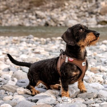 Шлейка для собак Curli Clasp Softshell (S, Коричневий)