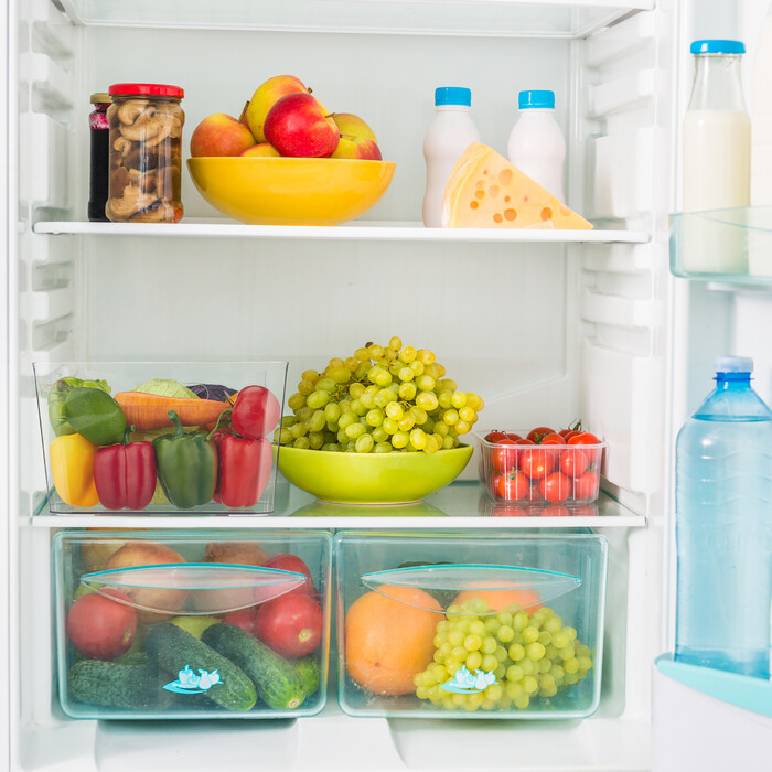 Relaxdays Large Refrigerator Organizer