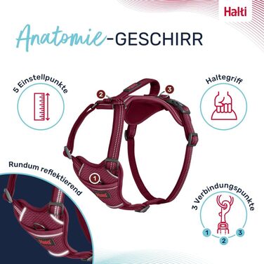 HATI Anatomy Dog Harness with Handle – Freedom of Movement for Your Dog. 3 Connection Points, Neoprene Padding, Adjustable and Reflective (Size Construction Green) (Magenta, M)