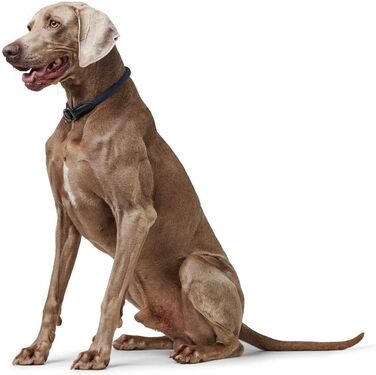 HUNTER Dressurhalsung FREESTYLE EIBY: синій нашийник для дрессури, регульований, м'який матеріал, з зупинкою, міцний, для тренувань та прогулянок, розмір M-L