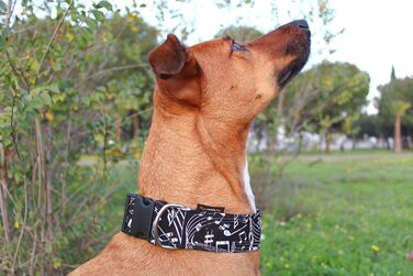 Обіймка для собак candyPet® Click з музикою, ширина 4 см, розмір шиї 30-55 см