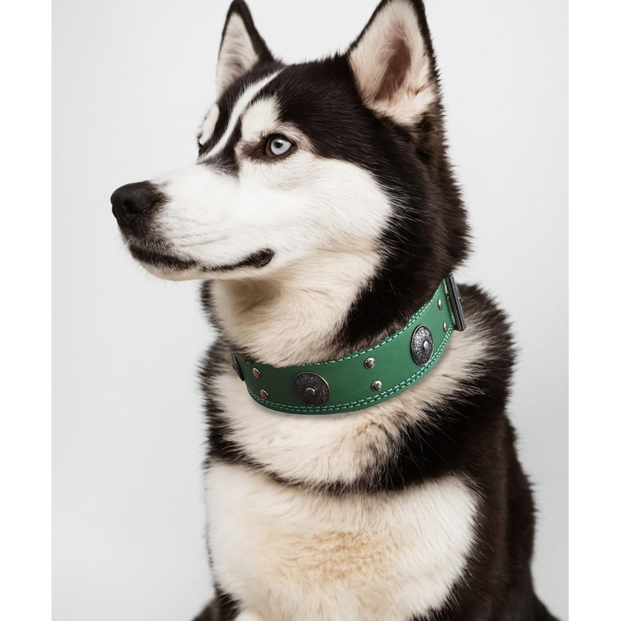 Leather Dog Collar, 5 cm Wide Robust Genuine Leather Collar, Handcrafted, Soft and Luxurious, Striking Best Choice for Large and Medium Dog Breeds (42-52 cm, green)