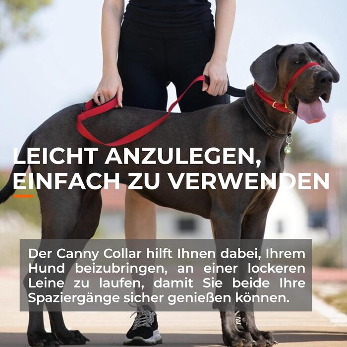Нашийник-напівобруч Canny Collar для собак – проти ривка | Безпечний та ефективний контроль | Тренувальний аксесуар для спокійних прогулянок | Розмір 5, Чорний, обхват шиї 43-48 см