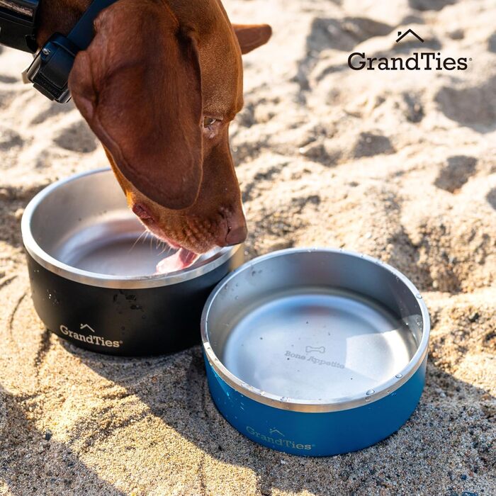 Нержавійна чаша для собак та котів GrandTies з гравіюванням, ізольована, велика (1890 мл, 1250 мл), кобальтово-синій