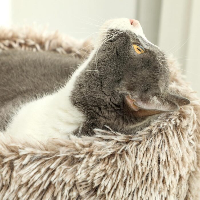 Дерев'яний кігтечка PawHut для котів з іграшками та мотузкою, 35,5 x 37 x 46 см (Коричневий)