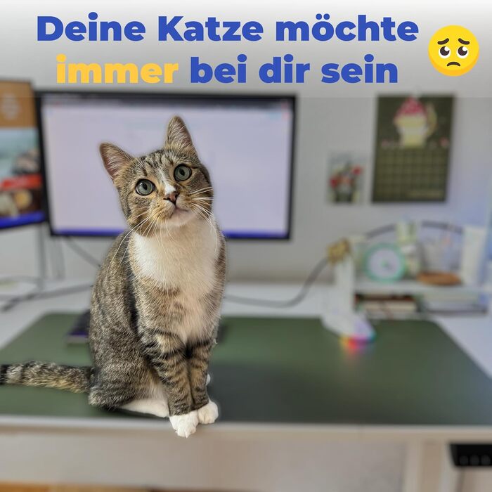 Столик для дому та офісу з кошиком для кота - зручний, стабільний та миючий - діаметр 40 см, посилений, новий