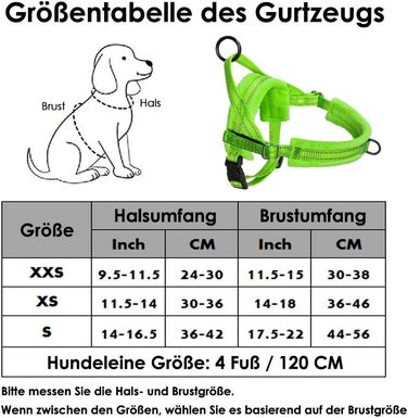 Нашийник для собак LowTon з повідком, анти-тягнучий, відбиваючий, безпечний, проти заплутування, для маленьких та середніх собак та цуценят, чорний (XXS, темно-зелений)