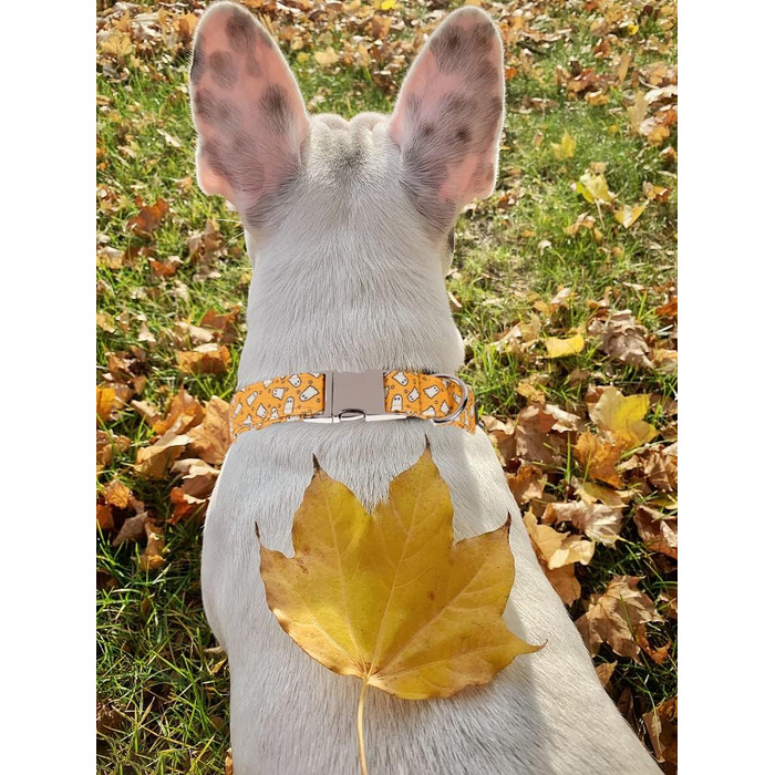 Нашийник для собак Lionet Paws на Halloween з метеликом, бавовна, зручний, з металевим затвором, розмір M (34-55 см), 1 шт. Ghost