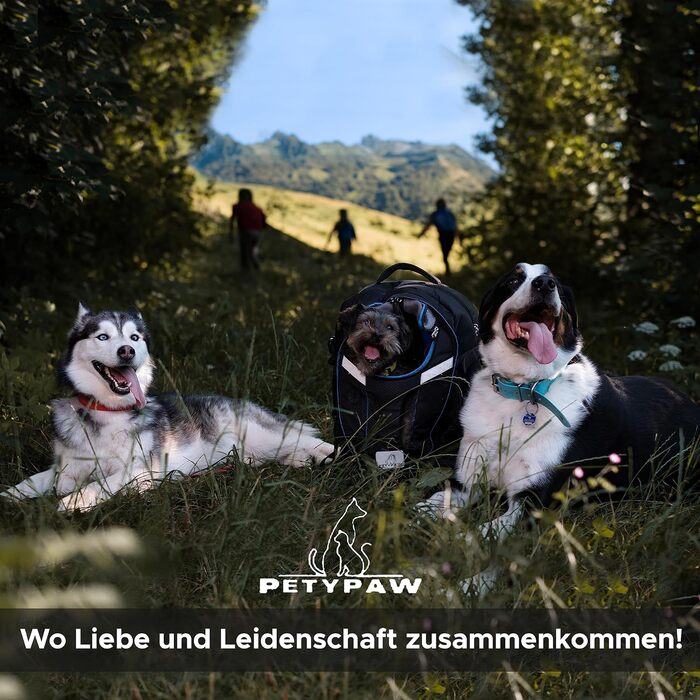 Рюкзак-переноска для собак PETYPAW до 9 кг, дихаючий, водонепроникний, для подорожей і прогулянок