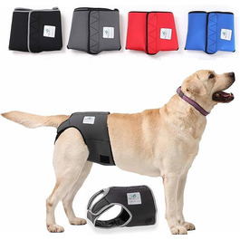 Incontinence pants for female dogs / Incontinence pants for male dogs / Dog protection pants made of high-quality, perforated neoprene, black, XS, (manufacturer size 1)