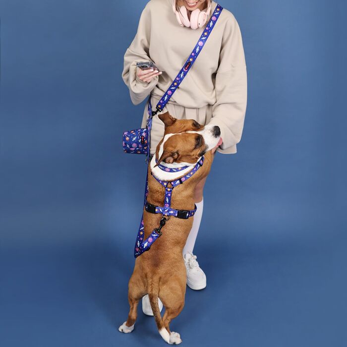 Шлейка для собак середніх порід | Не вбирає вологу | Регульована | З контролем | Легка класична шлейка для собак | Dog Harness - M (Cosmic Bloom, S - виміряйте собаку)