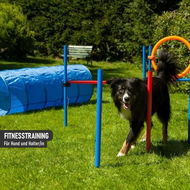 Набір для аджиліті NATIV LEMODO для собак | Тренування собак з бар'єрами та стрибковим кільцем | Легкий у транспортуванні аксесуар для аджиліті | Початковий набір у собачий спорт (з тунелем)