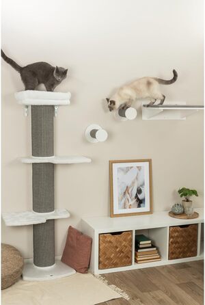 TRIXIE Cat Tree Acadia 160 cm in white/grey – multi-level cat tree with cosy lounging areas and wall mounting, comfortable & stable – 44073