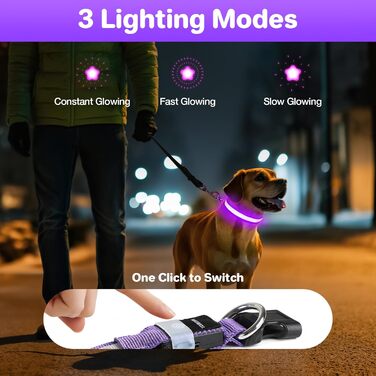 Світлодіодне нашийник для собак MABRILL, перезаряджається, водонепроникний, 3 режими світла, для малих, середніх та великих собак, колір: фіолетовий (L)