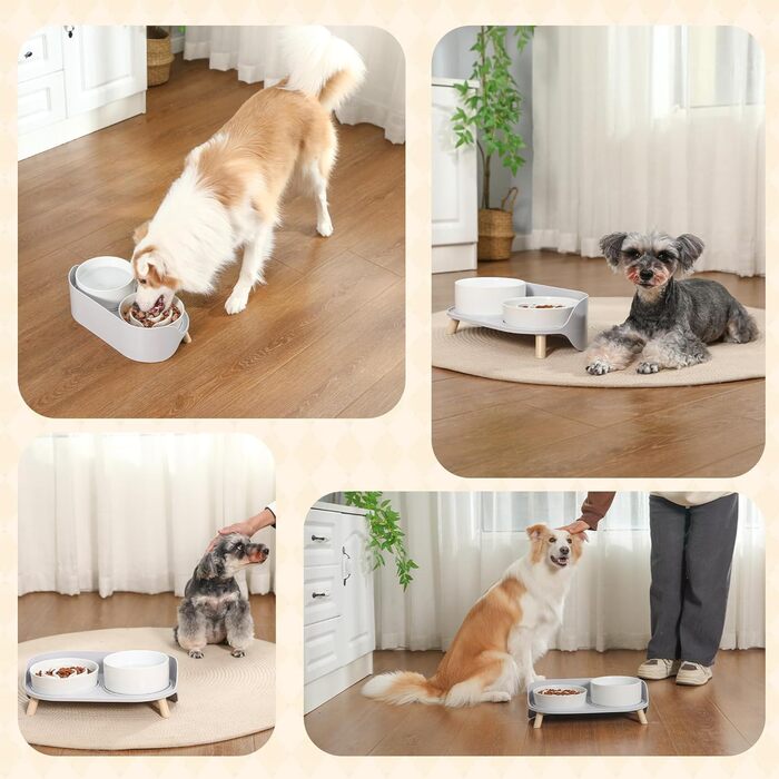 Набір мисок для собак з кераміки, піднятий на платформі: миска для повільного годування, набір з двох мисок для маленьких та середніх собак, годівниця та поїлка з антиковзним підставкою, колір - білий