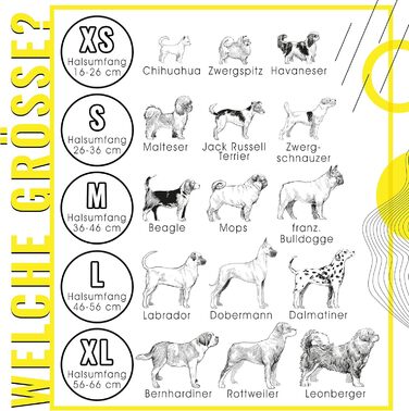 Набір повідка та нашийника ne&no® (веганська шкіра) для собак, 1.2м, блакитний/антрацит, регульований, з карабіном