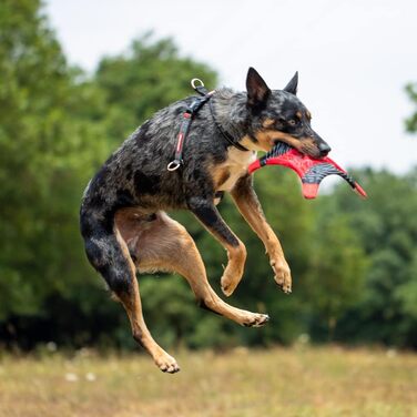 EzyDog Anti-Pull Harness for Dogs - Crosscheck Dog Harness for Small, Medium and Large Dogs, Dog Training Accessories, Reflective, Adjustable Sizes (XS, Red)
