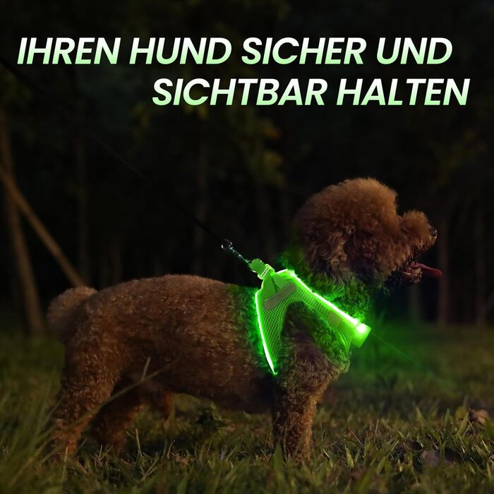 Світловідбиваючий нашийник для собак PcEoTllar з LED підсвічуванням, акумуляторний, для дрібних та середніх собак, дихаючий, рожевий (3 режими) (XS, зелений (3 режими))