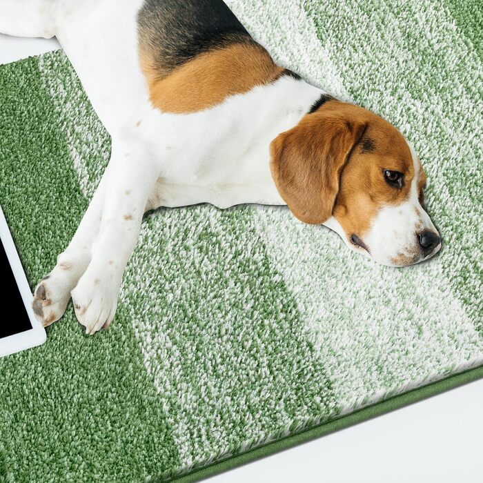 Килимок для дому та ванної кімнати SHACOS, 80 x 120 см, зелений. Антиковзка, швидковисихаюча, для входу та ванної кімнати