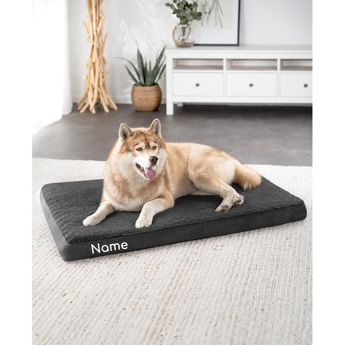 Ортопедичне ліжко для собак Lionto, 60x40x8 см, м'яке, знімний чохол, вологостійке, для собак та котів