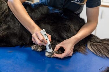 Акумуляторна машинка для стрижки Kerbl GT421 Aesculap Isis