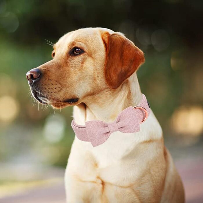 Нашийник для собак дівчаток Aring Pet: бавовняний, з бантиком, регульований, рожевий (M)