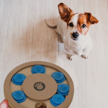 Relaxdays Interactive Dog Toy
