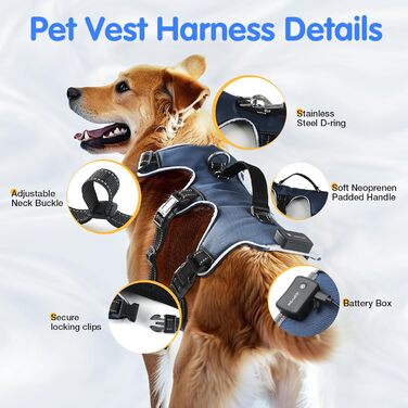 Світловідбиваючий нашийник для собак Jewyow з LED, перезаряджуваний, м'який, регульований, водонепроникний, зелений (XL)