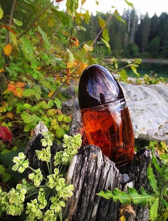 Парфумована вода Calvin Klein Obsession для жінок, 100 мл