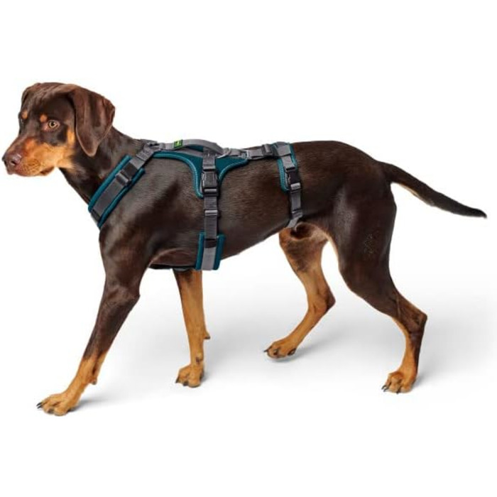 Нашийник для собак Maldon, колір petrol/сірий, розмір L