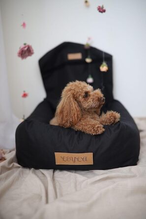 Крісло для собак у машину Petsen з іменем, чорне, для маленьких собак, з поводом