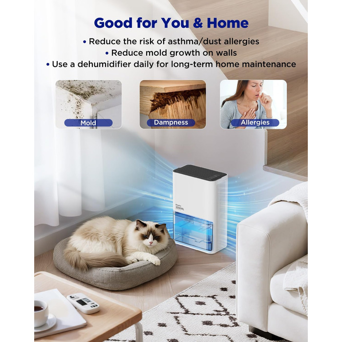 EasyAcc Електричний осушувач повітря 2000мл, продуктивність 500-650мл/день, 3 режими, автоматичне відтанення, LED-підсвітка 7 кольорів, автовимкнення, для приміщень до 20 м²