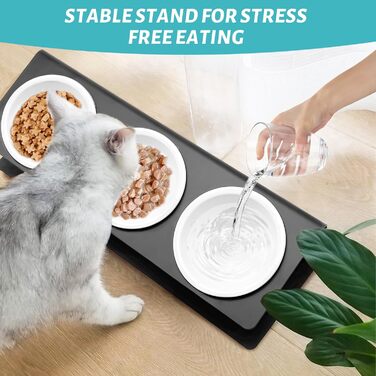 Підвищена годівниця для котів Lannvan Katzennapf Erhöht з кераміки та металевим підставкою, 15° нахил, годівниця та миска для води для котів та маленьких собак