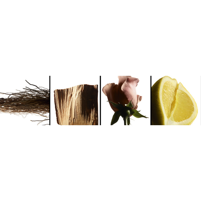 Чоловіча туалетна вода Yves Saint Laurent L'Homme, 100 мл