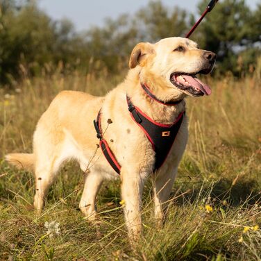 Шлейка для собак середнього розміру Ferplast ERGOCOMFORT, регульована, з м'якою підкладкою, подвійний мікрорегулятор, швидка застібка, срібна (червона), обхват шиї: 64-74 см, обхват грудей: 82-92 см