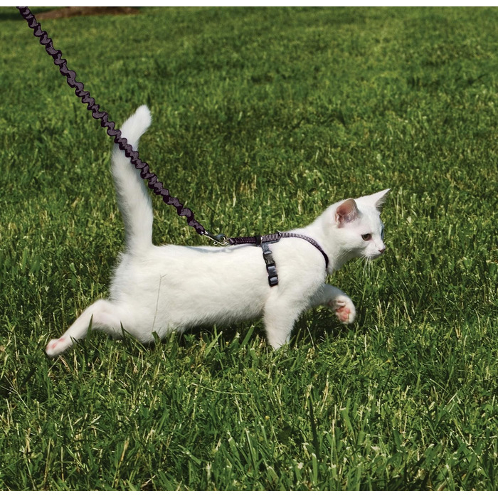 PetSafe Come with Me Kitty Harness and Bungee Leash, Harness for Cats, Size M, Red/Cranberry, Model: CWMK-M-RED (Black/Fawn, Small (Pack of 1))