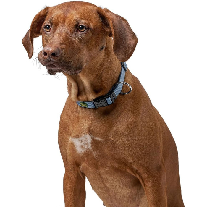 Нашийник для собак Hunter Vario Plus, міцний, гнучкий, з надійною застібкою, M-L/2.0, petrol
