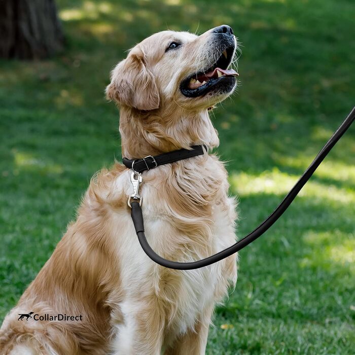 Нашийник для собак CollarDirect з м'якої шкіри, круглий, рулонований, ручної роботи, справжня шкіра, для цуценят, маленьких та великих собак, котів, чорний, рожевий, червоний, фіолетовий, синій, 35-40 см