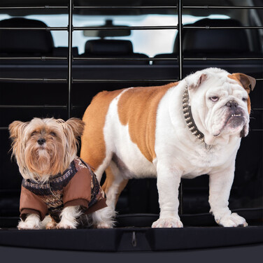 Relaxdays Dog Cage for Car