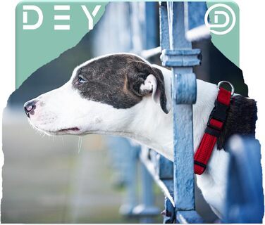 Преміум нашийник для собак DEY Air Mesh | Регульований | для малих, середніх та великих собак | багато кольорів та розмірів | нашийник для собак та котів | нашийники для собак | нашийник для цуценят | Рожевий, M [M/L] - 2,5 x 34-49 см Рожевий