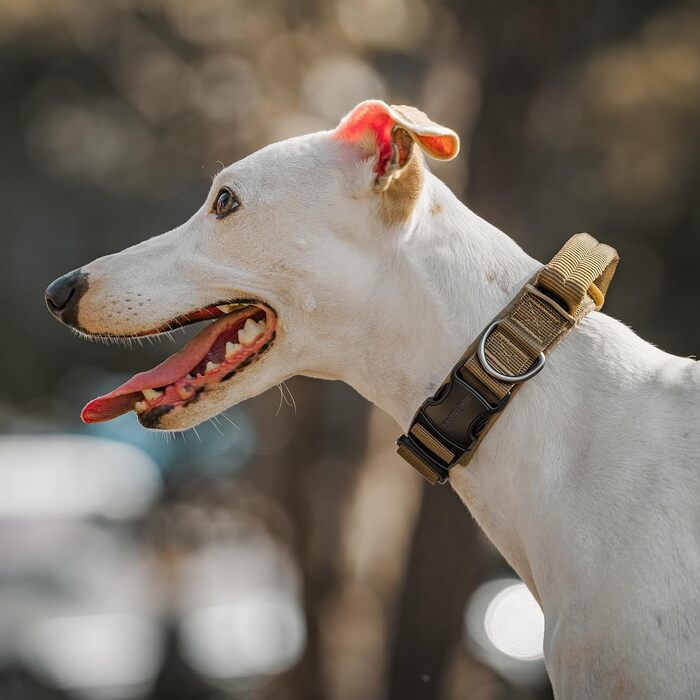 Нашийник для собак OneTigris з металевою застібкою Ranger Green (S)