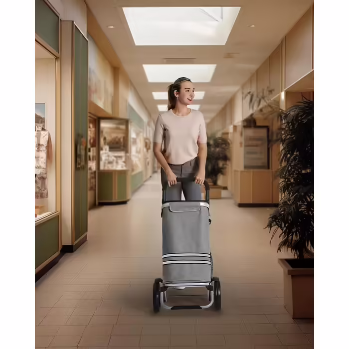 SONGMICS Shopping Trolley, Trolley, Shopping Cart with Cooler Compartment, Large, 35 Liters, Foldable, Shopping Bag with Wheels, Detachable Bag, Gray KST02GY