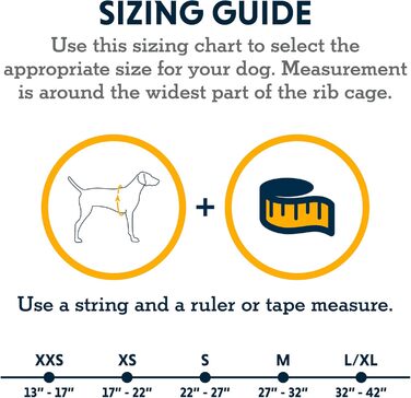 RUFFWEAR Swamp Cooler Dog Harness and Handle, Lightweight Running Gear Keeps Pets Cool in Hot Weather, Adjustable, Durable & Cooling, 2 Leash Ports, Graphite Gray (Large/XL, 81-107cm)