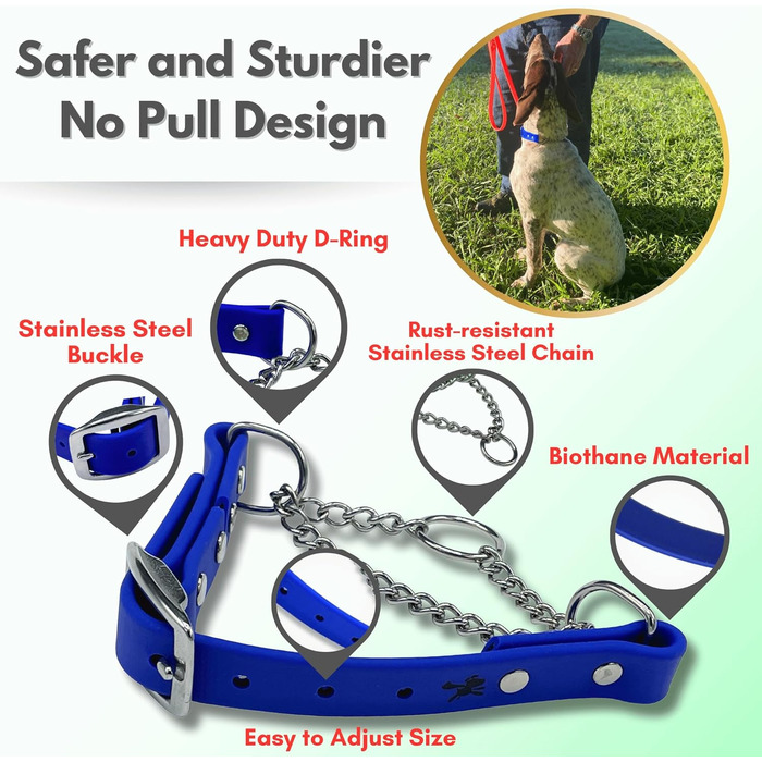 Нашийник для собак Artingale від JI HODGES, Biothane, не тягне, професійна якість, розмір XXS (блакитний)