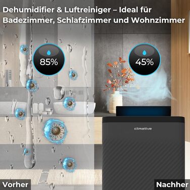 Електричний осушувач повітря Climative ION 12L/24h з Wi-Fi та очищувачем повітря для дому, квартири, ванної кімнати. Зменшує вологість та запобігає появі плісняви до 20м². (Nexi 12)