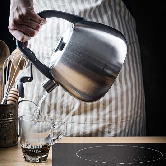 Чайник сталевий 2.5L Induktion (сріблястий)