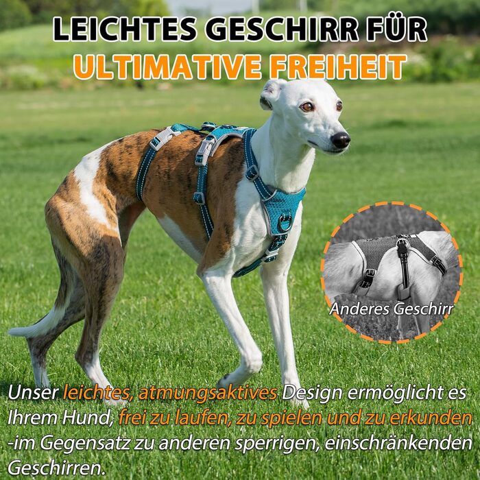 Шлейка Huntboo для собак: безпечна від виривання, антистресова, з відбиваючими елементами, регульована, легка (розмір S, блакитна)