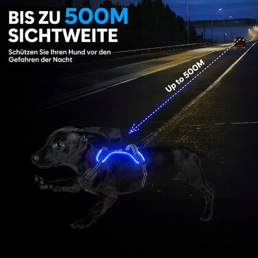 Нашийник для собак з екошкіри, перероблений, для великих та середніх собак, зелений (XS, синій)